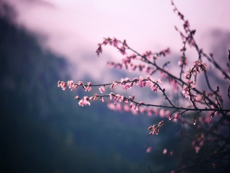 fragrance recommendations for march 2021
