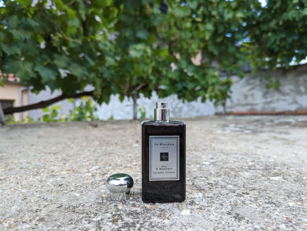 Oud & 2025 bergamot cologne intense