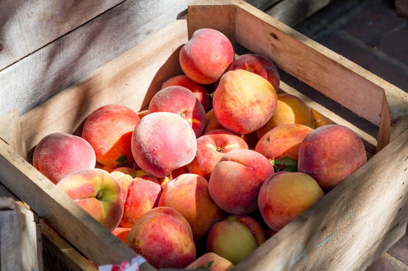 atlantis-basket-of-peaches