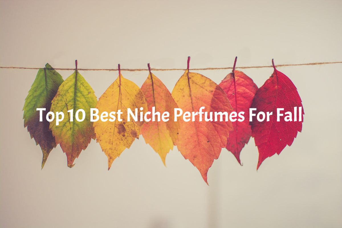 best niche perfumes for fall - leaves hanging from a string