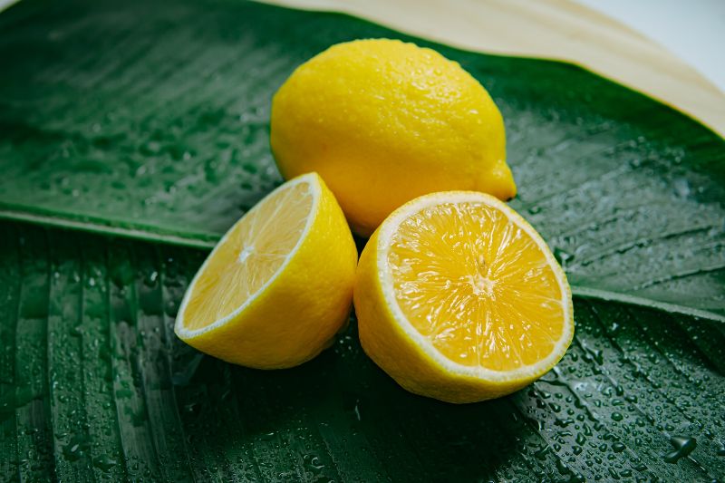 Creed-Green-Irish-Tweed-sliced-lemons-