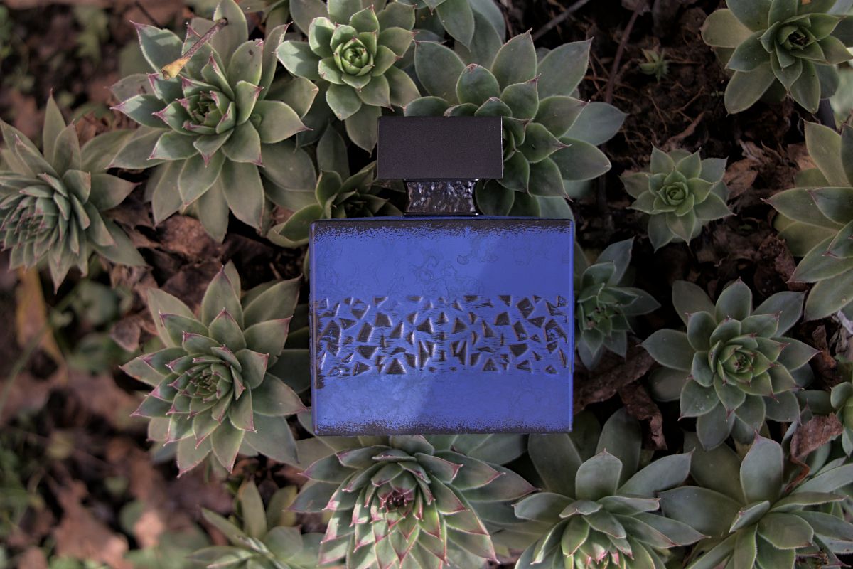 M.Micallef DesirToxic cover M.Micallef DesirToxic Review (2024): Familiar Alternative M.Micallef DesirToxic cover