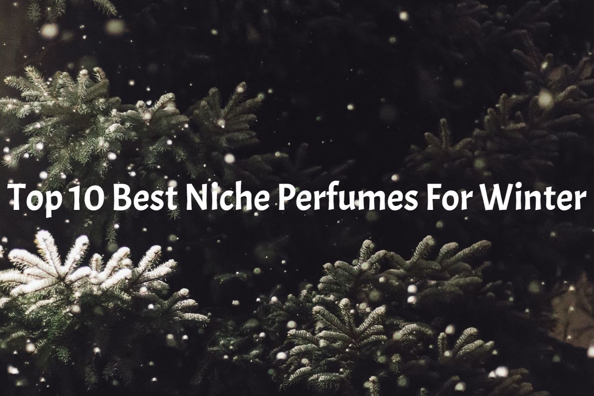 Best Niche Perfumes For Winter 1 Top 10 Best Niche Perfumes For Winter (2024) Best Niche Perfumes For Winter
