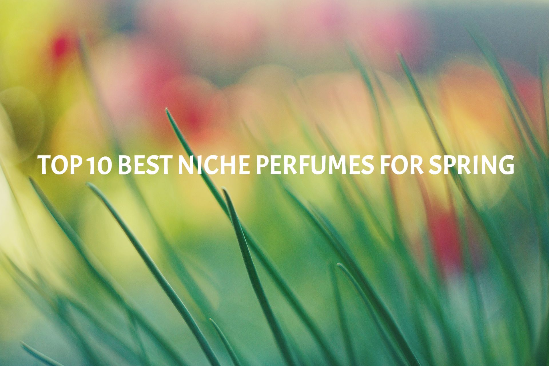 Top 10 Best Niche Perfumes For Spring (2024) Scent Grail