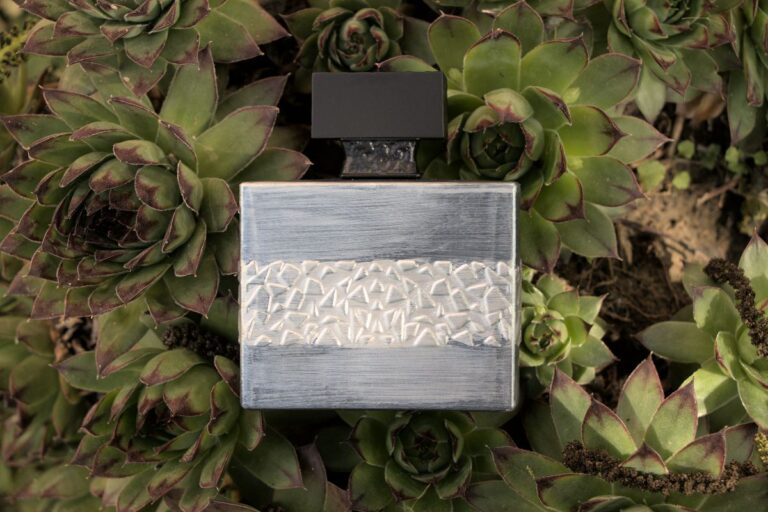 m.micallef royal vintage cover M.Micallef Royal Vintage Review (2024): The Best Creed Aventus Alternative m.micallef royal vintage - cover