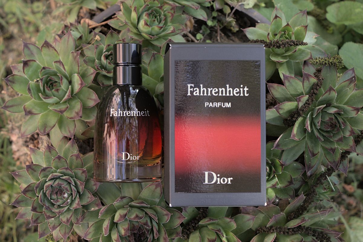 Dior Fahrenheit Le Parfum Review (2024): Is It Worth The Hype? - Scent ...