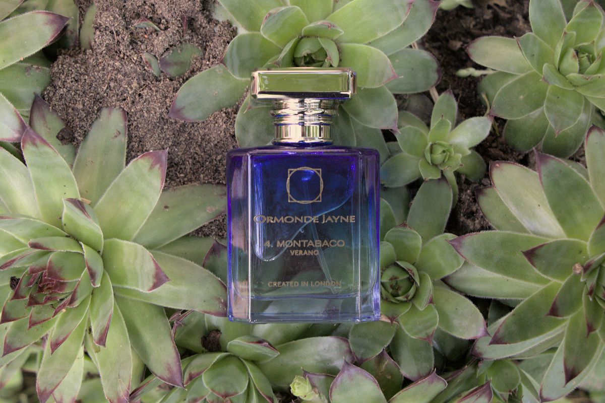 ormonde jayne montabaco verano cover Ormonde Jayne Montabaco Verano Review (2024): Missed Opportunity ormonde jayne montabaco verano - cover