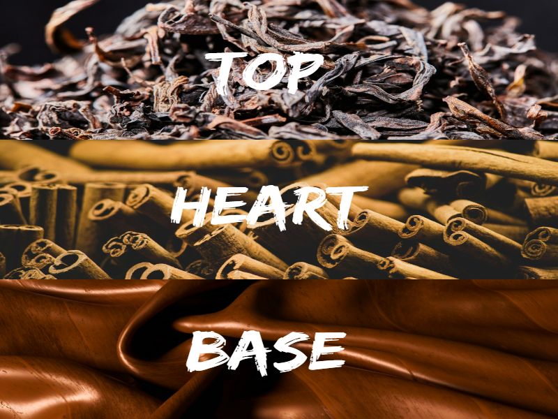 Burberry London For Men Note Breakdown Burberry London For Men Review (2025): Christmas In A Bottle Burberry London For Men - Note Breakdown