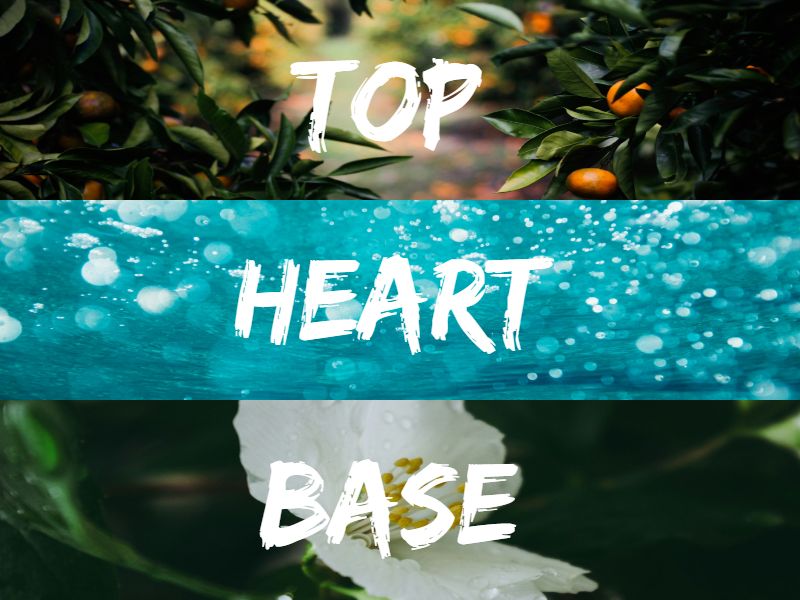 Clinique Happy For Men Note Breakdown Clinique Happy For Men Review (1999): Liquid Sunshine Or Fading Memory? Clinique Happy For Men - Note Breakdown