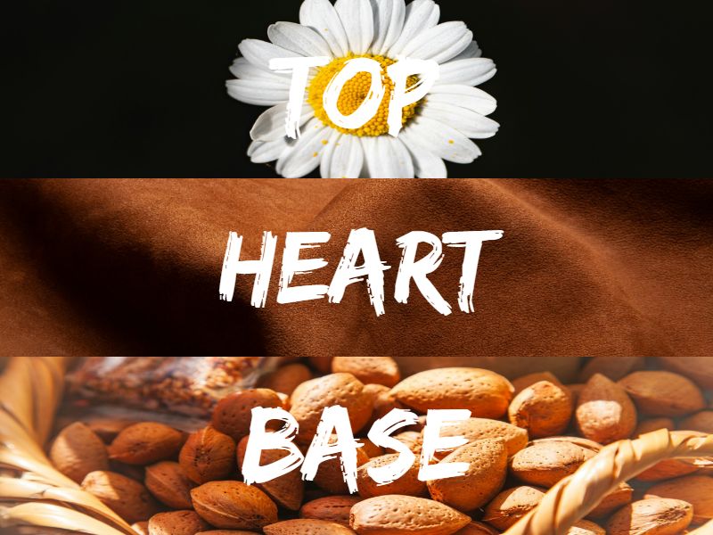 Gucci Memoire dune Odeur Note Breakdown Gucci Memoire d’une Odeur Review (2019): The Smell Of Good Old Days Gucci Mémoire d’une Odeur - Note Breakdown