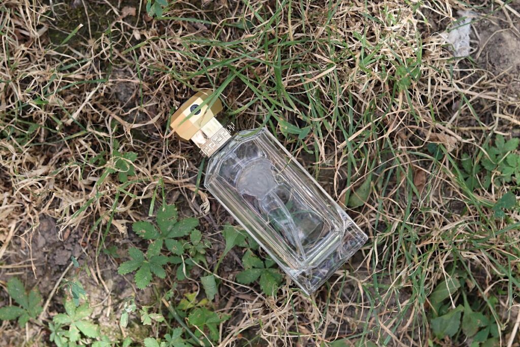 Versace The Dreamer Bottle in Grass Versace The Dreamer Review (1996): The Smell Of Freedom Versace The Dreamer Bottle in Grass